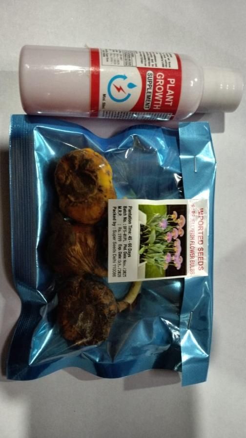 Rare Medusa Orchid with Plant Growth Supplement (Pack of 8)